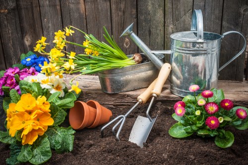 Eco-friendly driveway cleaning process