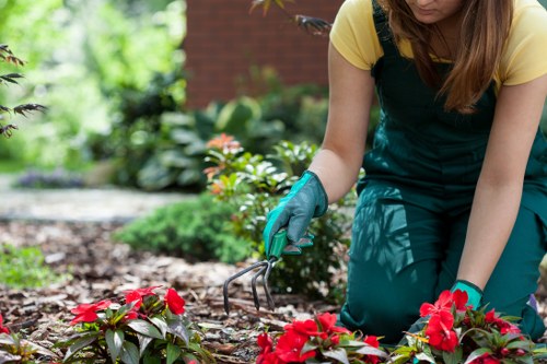 Eco-friendly cleaning products being applied