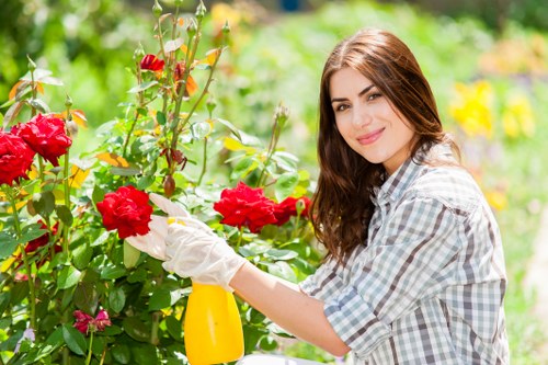 Specialty garden lighting installation by Gardener in Cleaners EN5