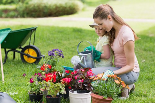 Eco-friendly driveway cleaning solutions in South Wimbledon