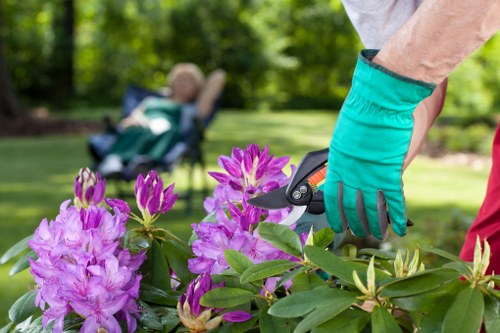 Eco-friendly driveway cleaning methods