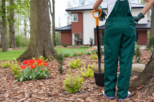Tree removal using specialized equipment