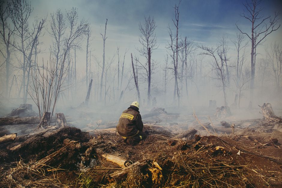 A firefighter in protective gear, including a helmet and reflective vest, kneels on a ground covered with charred debris and fallen logs in a forested area affected by a recent house fire. The backgro